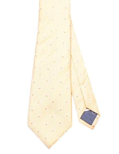 CORBATA SCAPPINO PAISLEY SED, AMARILLO