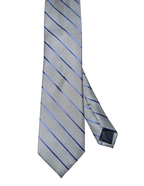 CORBATA PERRY ELLIS A RAYAS , PLATEADOD