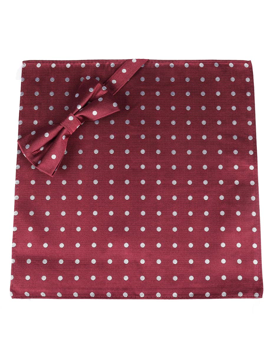 Set de moño y pañuelo para hombre 2