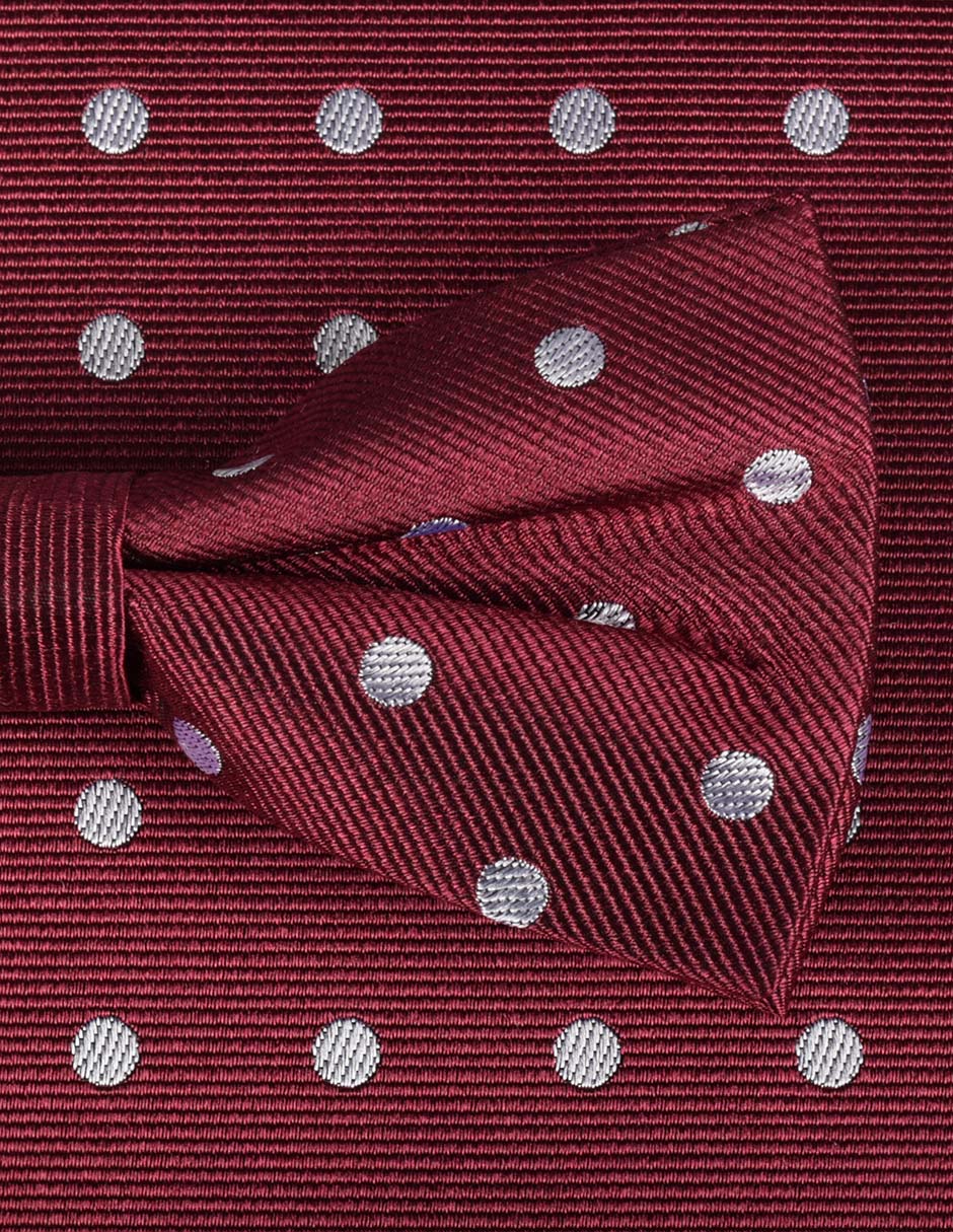 Set de moño y pañuelo para hombre 3